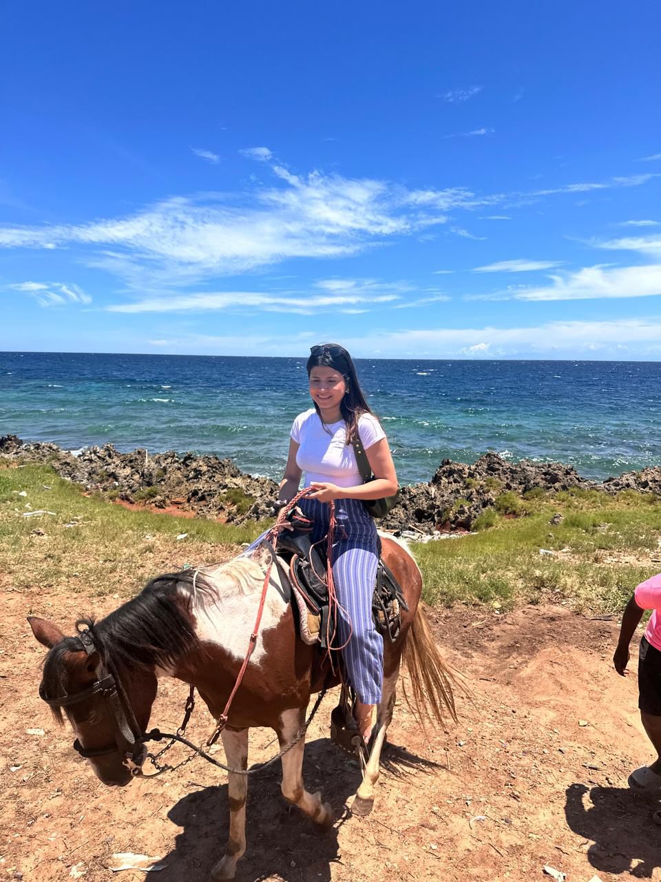 Santuario de aves y perezosos en Roatán